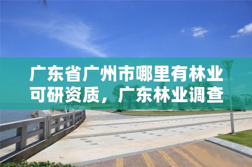 广东省广州市哪里有林业可研资质，广东林业调查规划设计资质