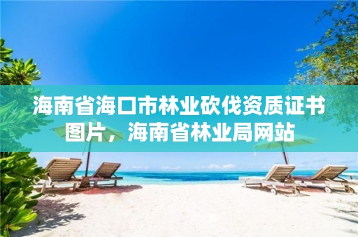 海南省海口市林业砍伐资质证书图片,海南省林业局网站