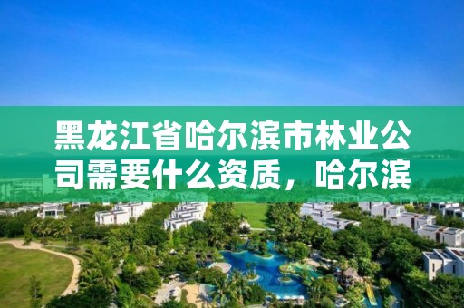 黑龙江省哈尔滨市林业公司需要什么资质,哈尔滨市林业局直属林场