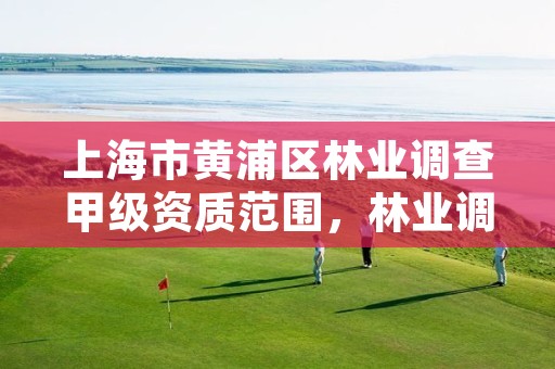 上海市黄浦区林业调查甲级资质范围，林业调查规划设计甲级资质