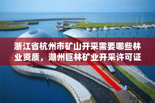 浙江省杭州市矿山开采需要哪些林业资质,湖州巨林矿业开采许可证
