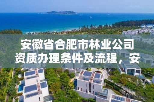 安徽省合肥市林业公司资质办理条件及流程，安徽省林业局在合肥市哪个区