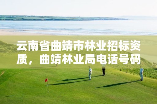 云南省曲靖市林业招标资质,曲靖林业局电话号码