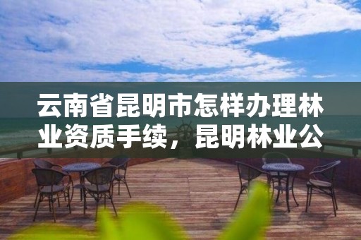 云南省昆明市怎样办理林业资质手续,昆明林业公司