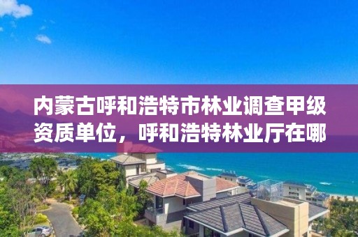 内蒙古呼和浩特市林业调查甲级资质单位,呼和浩特林业厅在哪