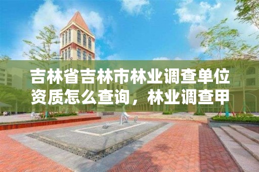吉林省吉林市林业调查单位资质怎么查询，林业调查甲级资质