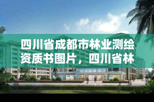 四川省成都市林业测绘资质书图片,四川省林业调查规划设计资质