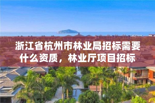 浙江省杭州市林业局招标需要什么资质,林业厅项目招标