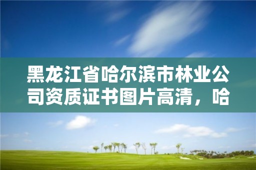 黑龙江省哈尔滨市林业公司资质证书图片高清,哈尔滨林业厅官网