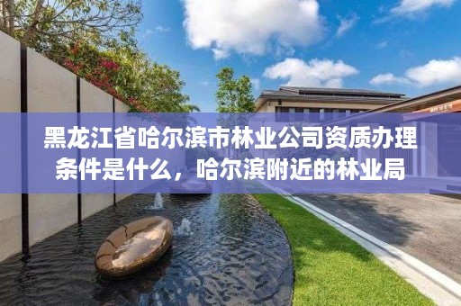 黑龙江省哈尔滨市林业公司资质办理条件是什么,哈尔滨附近的林业局