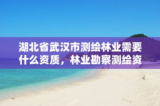 湖北省武汉市测绘林业需要什么资质,林业勘察测绘资质