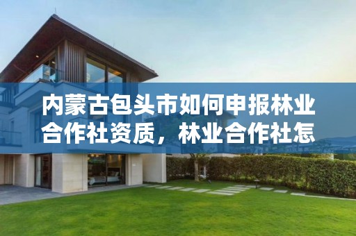 内蒙古包头市如何申报林业合作社资质,林业合作社怎么申请