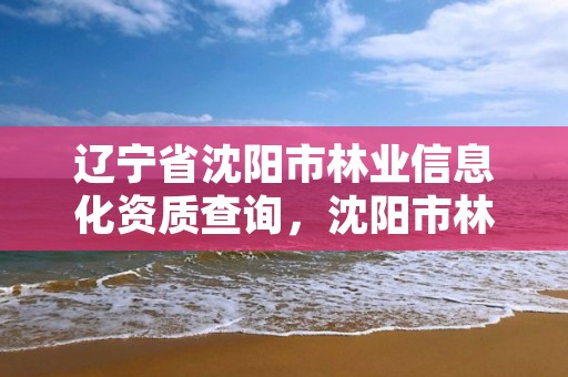 辽宁省沈阳市林业信息化资质查询，沈阳市林业建设保护条例