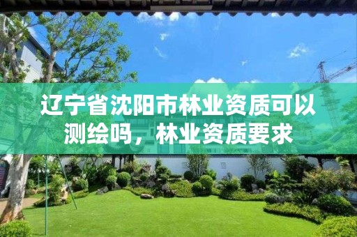 辽宁省沈阳市林业资质可以测绘吗，林业资质要求