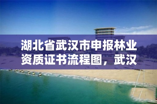 湖北省武汉市申报林业资质证书流程图,武汉市林业集团有限公司