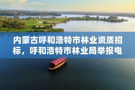 内蒙古呼和浩特市林业资质招标,呼和浩特市林业局举报电话