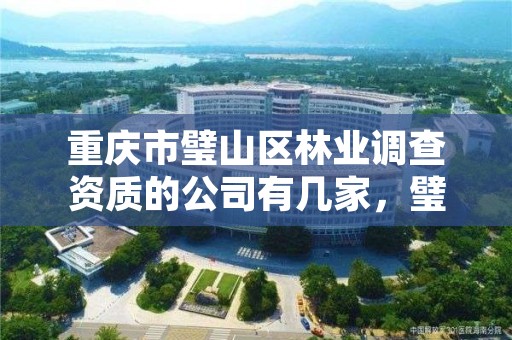重庆市璧山区林业调查资质的公司有几家,璧山林业局班子成员