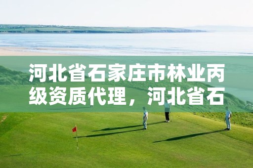 河北省石家庄市林业丙级资质代理，河北省石家庄市林业丙级资质代理公司名单