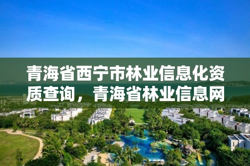 青海省西宁市林业信息化资质查询,青海省林业信息网