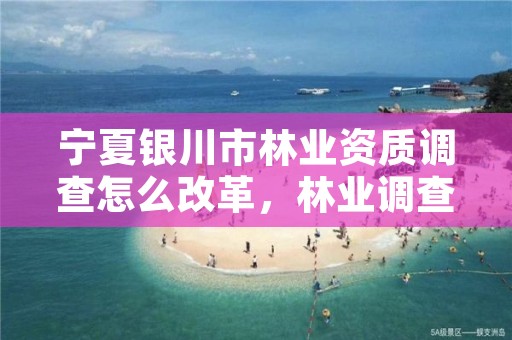 宁夏银川市林业资质调查怎么改革,林业调查资质查询
