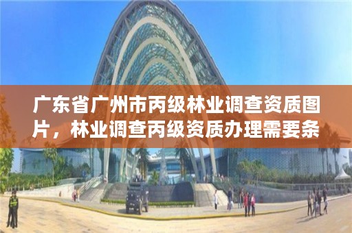 广东省广州市丙级林业调查资质图片,林业调查丙级资质办理需要条件