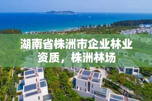 湖南省株洲市企业林业资质,株洲林场