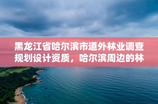 黑龙江省哈尔滨市道外林业调查规划设计资质,哈尔滨周边的林业局