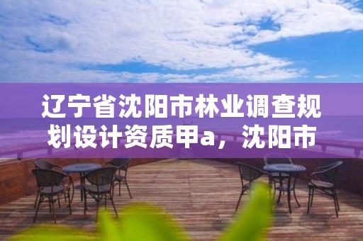 辽宁省沈阳市林业调查规划设计资质甲a,沈阳市林业建设保护条例