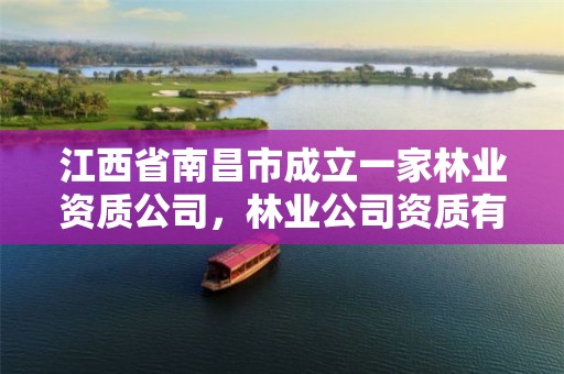 江西省南昌市成立一家林业资质公司,林业公司资质有哪几个