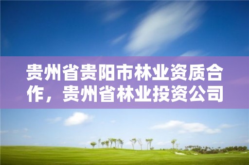 贵州省贵阳市林业资质合作,贵州省林业投资公司