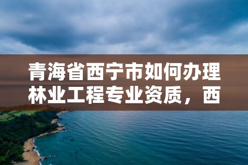 青海省西宁市如何办理林业工程专业资质，西宁市林业站