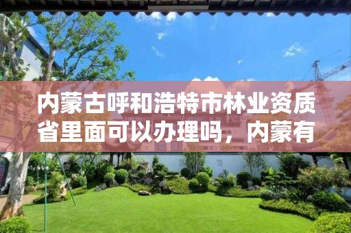 内蒙古呼和浩特市林业资质省里面可以办理吗,内蒙有哪些林业局