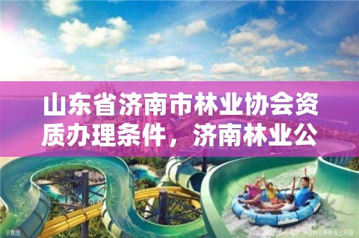 山东省济南市林业协会资质办理条件,济南林业公司