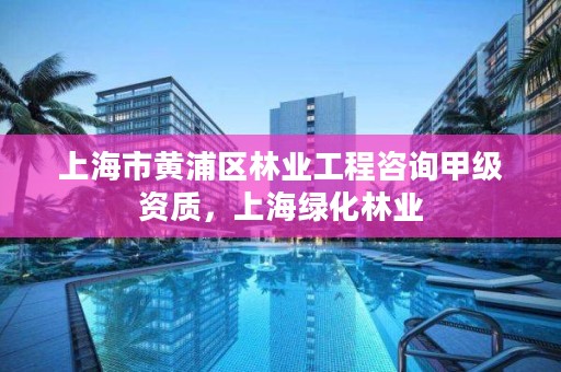 上海市黄浦区林业工程咨询甲级资质,上海绿化林业