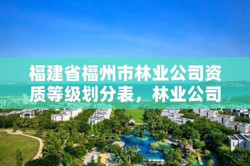 福建省福州市林业公司资质等级划分表,林业公司资质有哪几个