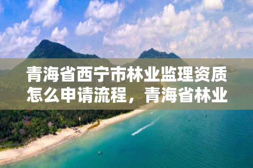 青海省西宁市林业监理资质怎么申请流程，青海省林业工程监理中心有限公司