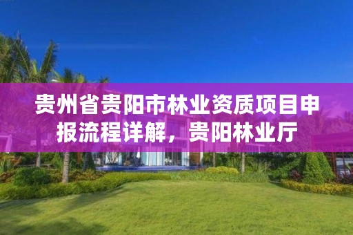 贵州省贵阳市林业资质项目申报流程详解,贵阳林业厅