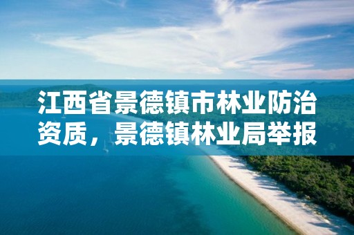 江西省景德镇市林业防治资质,景德镇林业局举报电话