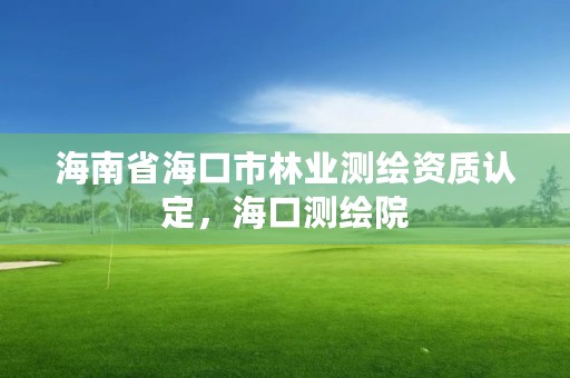 海南省海口市林业测绘资质认定,海口测绘院