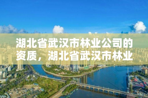 湖北省武汉市林业公司的资质,湖北省武汉市林业公司的资质有哪些