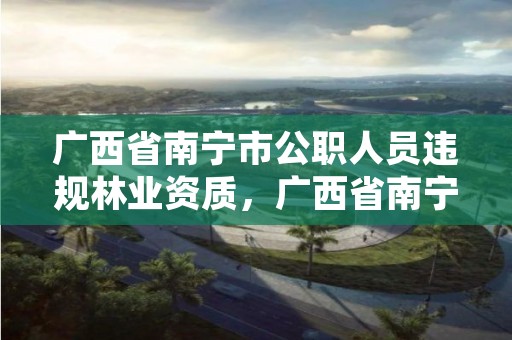 广西省南宁市公职人员违规林业资质,广西省南宁市公职人员违规林业资质处罚