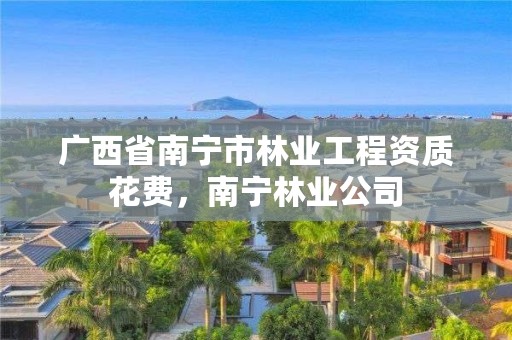 广西省南宁市林业工程资质花费,南宁林业公司