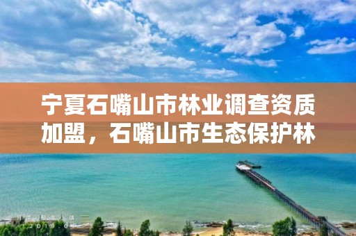 宁夏石嘴山市林业调查资质加盟,石嘴山市生态保护林场