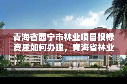 青海省西宁市林业项目投标资质如何办理，青海省林业工程咨询中心