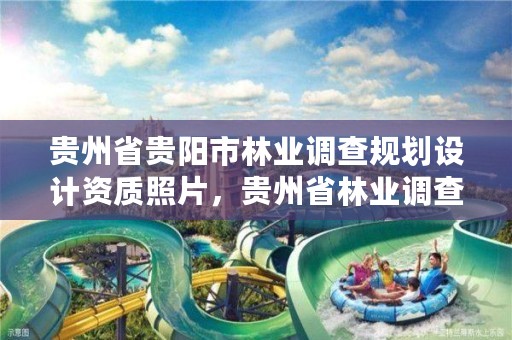 贵州省贵阳市林业调查规划设计资质照片,贵州省林业调查规划院电话