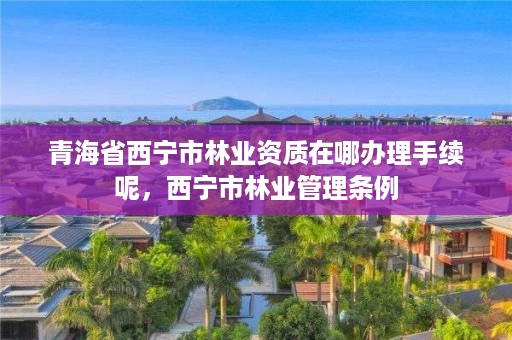 青海省西宁市林业资质在哪办理手续呢，西宁市林业管理条例