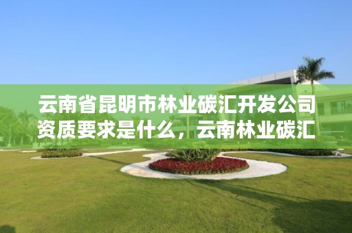 云南省昆明市林业碳汇开发公司资质要求是什么，云南林业碳汇资源开发项目