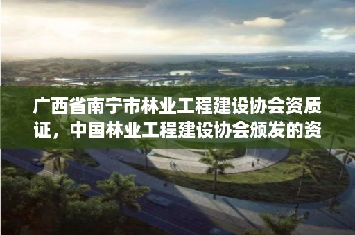 广西省南宁市林业工程建设协会资质证,中国林业工程建设协会颁发的资质证书