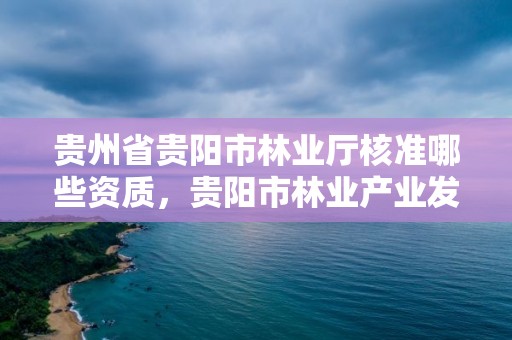 贵州省贵阳市林业厅核准哪些资质,贵阳市林业产业发展中心