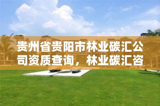 贵州省贵阳市林业碳汇公司资质查询，林业碳汇咨询公司